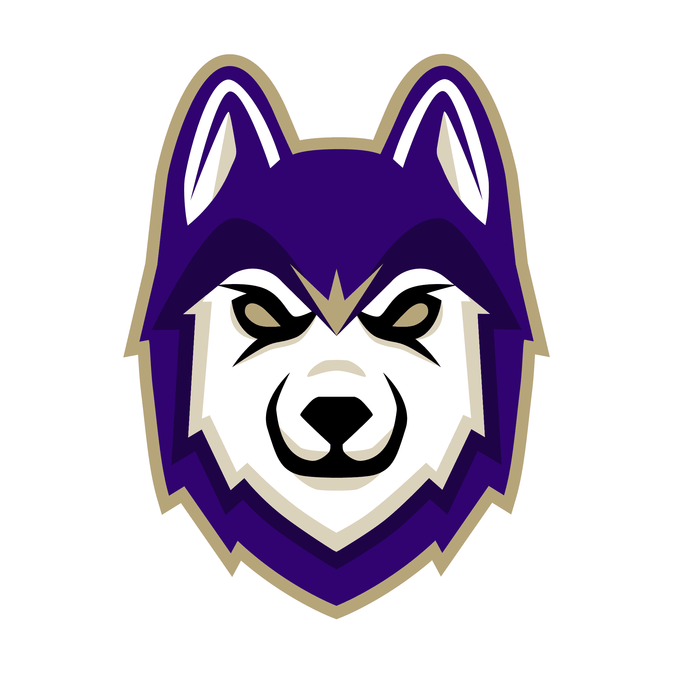Washington logo